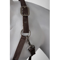 new Quarzfarbenes Café