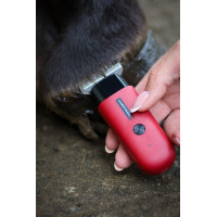 Liveryman Robin Trimmer Schermaschine Rot