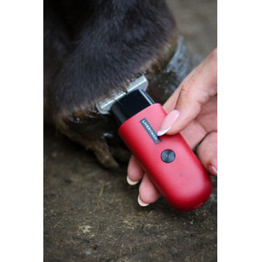 Liveryman Robin Trimmer Schermaschine Rot