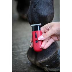 Liveryman Robin Trimmer Schermaschine Rot