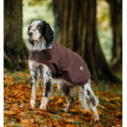 Hundedecke Horseware Heritage Newmarket Braun / Marineblau Witney Hundedecke Horseware Heritage Newmarket Braun / Marineblau Witney