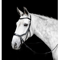 Micklem gebisslose Trense von Horseware Schwarz Micklem gebisslose Trense von Horseware Schwarz