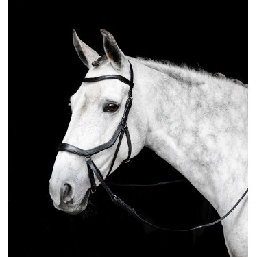 Micklem gebisslose Trense von Horseware Schwarz Micklem gebisslose Trense von Horseware Schwarz