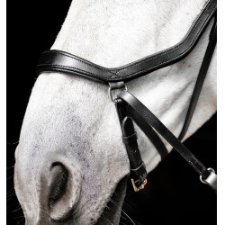 Micklem gebisslose Trense von Horseware Schwarz Micklem gebisslose Trense von Horseware Schwarz