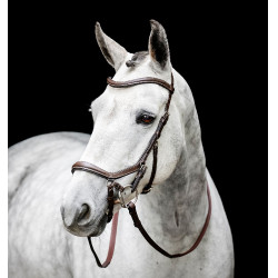 Micklem gebisslose Trense von Horseware Braun