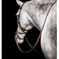 Micklem gebisslose Trense von Horseware Braun