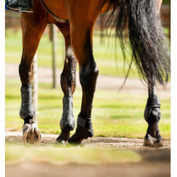 Horseware® Classic Fesselkopfgamaschen Schwarz / schwarz