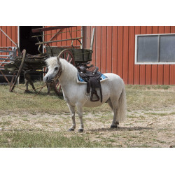 Western-Sattel Westride Topeka