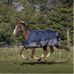 Equithème Tyrex 600 Decke mit Fleecefutter