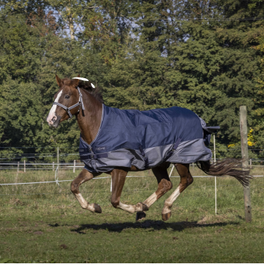 Equithème Tyrex 600 Decke mit Fleecefutter