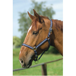 Nylonhalfter mit Leder unterlegt Norton Marine / Himmelblau Nylonhalfter mit Leder unterlegt Norton Marine / Himmelblau