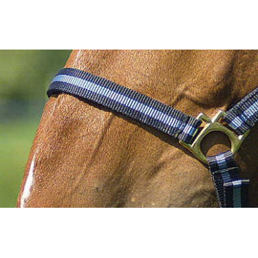 Nylonhalfter mit Leder unterlegt Norton Marine / Himmelblau Nylonhalfter mit Leder unterlegt Norton Marine / Himmelblau