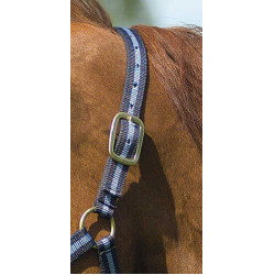 Nylonhalfter mit Leder unterlegt Norton Marine / Himmelblau Nylonhalfter mit Leder unterlegt Norton Marine / Himmelblau