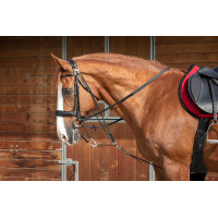 Norton Pro Flaschenzug-Trense Havanna Braun