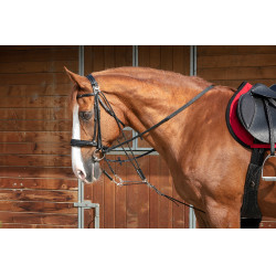 Norton Pro Flaschenzug-Trense Schwarz Norton Pro Flaschenzug-Trense Schwarz