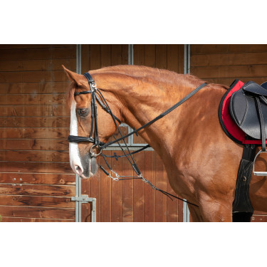 Norton Pro Flaschenzug-Trense Schwarz Norton Pro Flaschenzug-Trense Schwarz