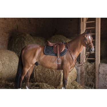 Kombigurt Eric Thomas Hybrid Havanna Braun