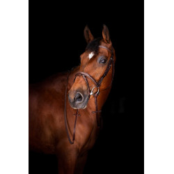 Zügel Hunter Eric Thomas Elite 16 mm Havanna Braun Zügel Hunter Eric Thomas Elite 16 mm Havanna Braun