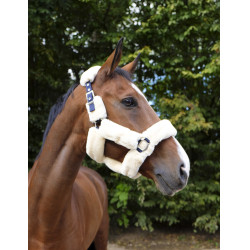 Halfter Equithème Teddy Marine / Ecru Blau Halfter Equithème Teddy Marine / Ecru Blau