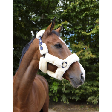Halfter Equithème Teddy Marine / Ecru Blau Halfter Equithème Teddy Marine / Ecru Blau