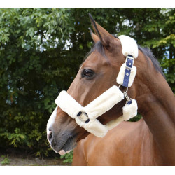 Halfter Equithème Teddy Marine / Ecru Blau Halfter Equithème Teddy Marine / Ecru Blau