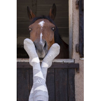 Equithème Girly Socken Marine / Himmelblau