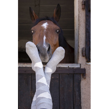 Equithème Girly Socken Grau / Himmel Equithème Girly Socken Grau / Himmel