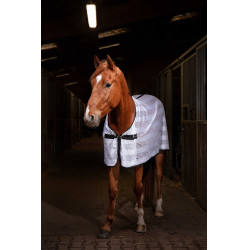 Reitshirt Riding World Mesh Weiß Wei&szlig;