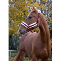 Norton Komfort Halfter Bordeaux