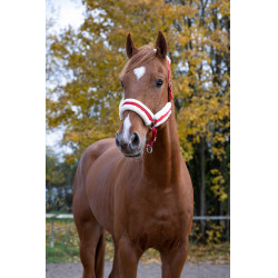 Norton Komfort Halfter Rot