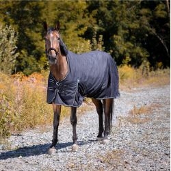 Wasserdichte Riding World Oxford Decke Schwarz