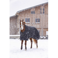 Wasserdichte Riding World Oxford-Decke mit Fleecefutter Schwarz