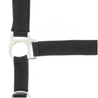 Norton Halfter aus Nylon mit Neopren unterlegt Rot