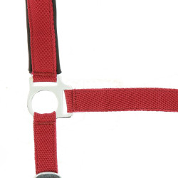 Norton Halfter aus Nylon mit Neopren unterlegt Rot