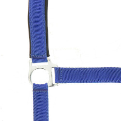 Norton Halfter aus Nylon mit Neopren unterlegt Königsblau
