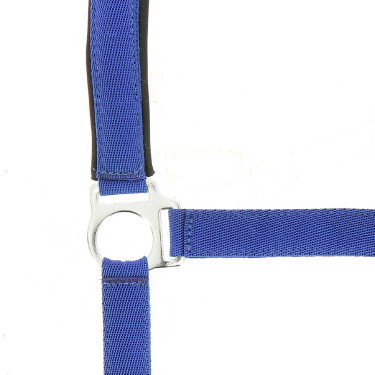 Norton Halfter aus Nylon mit Neopren unterlegt Königsblau