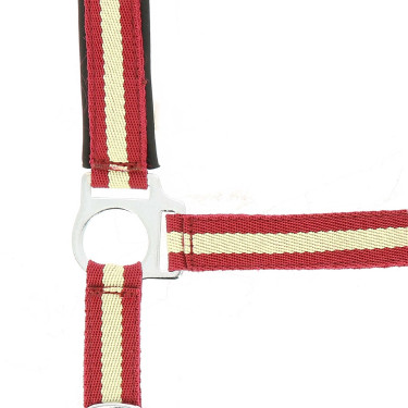Norton Halfter aus Nylon mit Neopren unterlegt Rot / Naturweiß