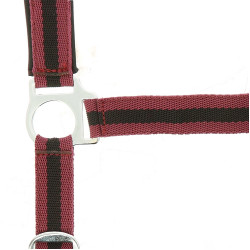 Norton Halfter aus Nylon mit Neopren unterlegt Bordeaux / Schwarz Norton Halfter aus Nylon mit Neopren unterlegt Bordeaux / Schwarz