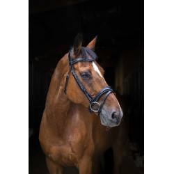 Trensenzaum Eric Thomas Pro Wave Schwarz