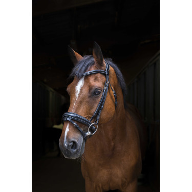 Zaumzeug Eric Thomas Pro Design Schwarz