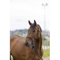 Ethologisches Halfter Norton + Führstrick Eco Schwarz / Weiß / Silber