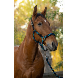 Halfter + Führstrick Equitheme Geflochten Türkis / Marine / Schwarz Blau Halfter + Führstrick Equitheme Geflochten Türkis / Marine / Schwarz Blau