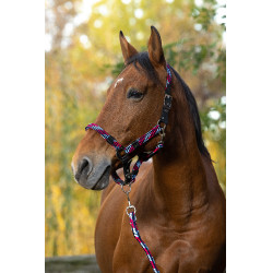 Halfter + Führstrick Equitheme Geflochten Fuchsia / Himmelblau / Marine Rosa