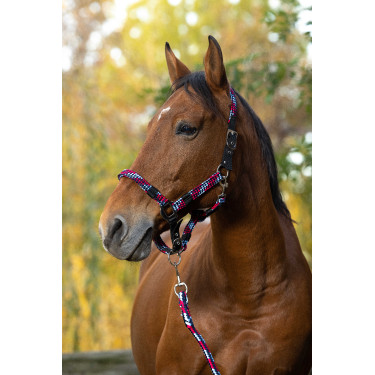 Halfter + Führstrick Equitheme Geflochten Fuchsia / Himmelblau / Marine Rosa