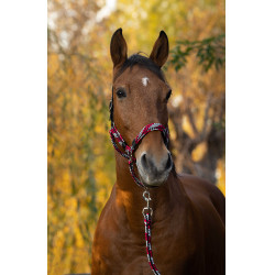 Halfter + Führstrick Equitheme Geflochten Fuchsie / Grau / Schwarz Rosa