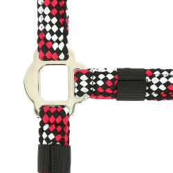 Halfter + Führstrick Equitheme Geflochten Fuchsie / Grau / Schwarz Rosa