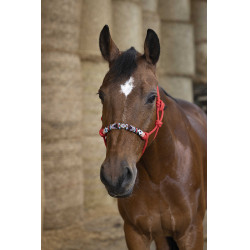 Ethologisches Halfter Norton Pearl Rot Ethologisches Halfter Norton Pearl Rot