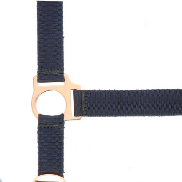 Kopfstück + Führstrick Norton Roségold Marineblau Kopfstück + Führstrick Norton Roségold Marineblau