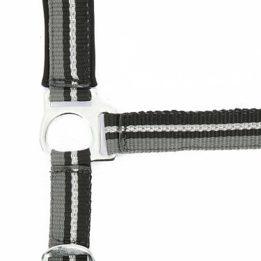 Halfter + Führstrick Norton Brillant Schwarz / Grau / Silber