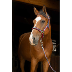 Halfter + Führstrick Norton Brillant Rot / Marine / Silber Halfter + Führstrick Norton Brillant Rot / Marine / Silber